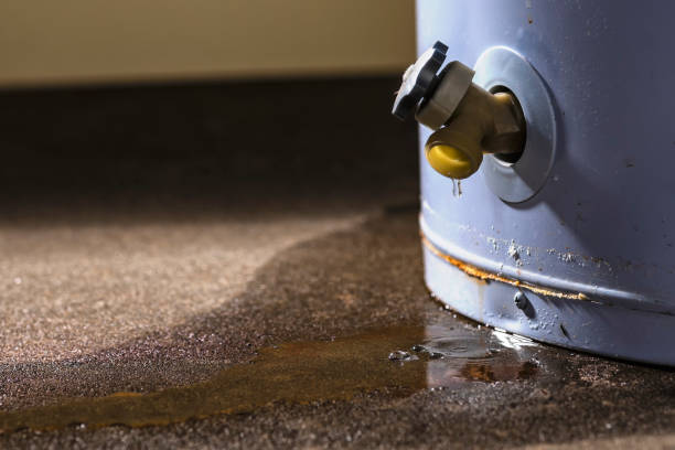 Best Local water damage restoration  in Warrington, FL
