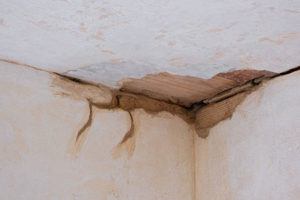 Best Water damage restoration specialists  in Warrington, FL
