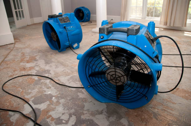 Best 24-hour water damage restoration  in Warrington, FL