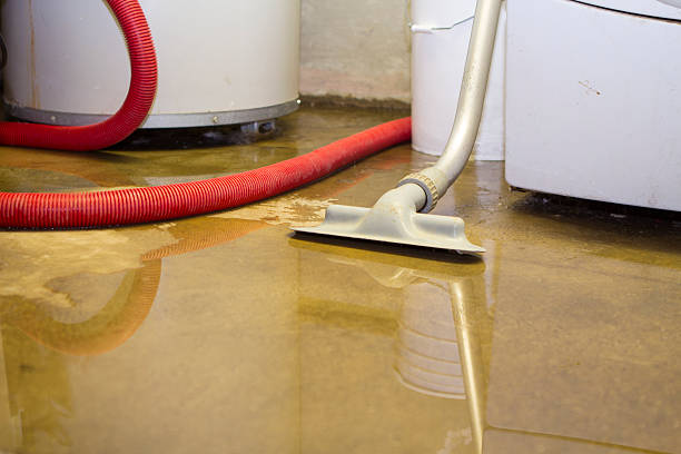 Best Professional water damage repair  in Warrington, FL