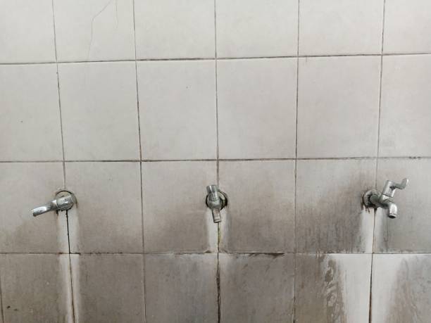 Best Flood restoration services  in Warrington, FL