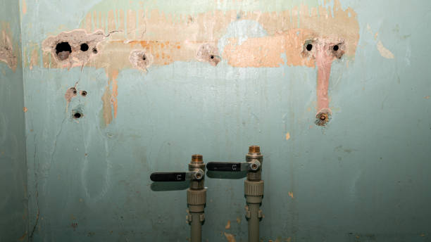 Best 24/7 water damage repair  in Warrington, FL