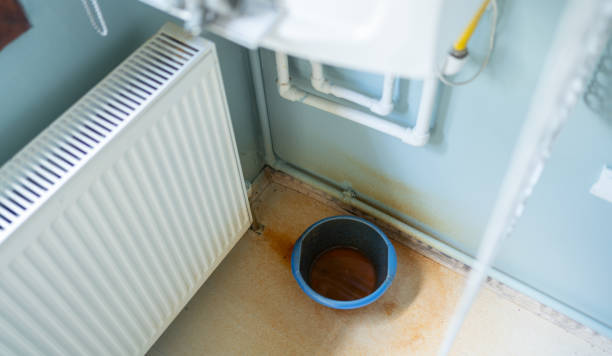 Best Sewage cleanup and water damage restoration  in Warrington, FL