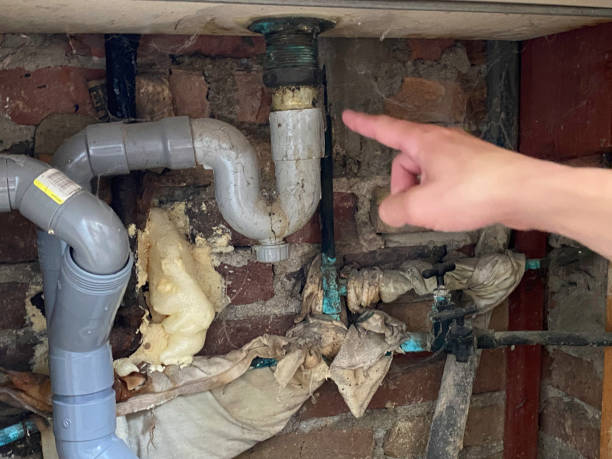 Best Water damage contractors near me  in Warrington, FL