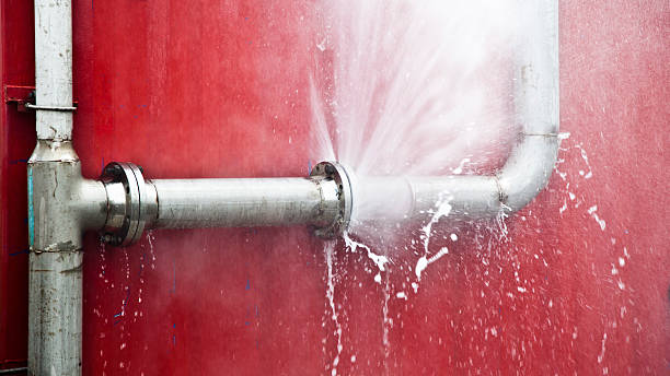 Best Water damage cleanup near me  in Warrington, FL